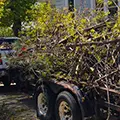 Yard Waste Removal